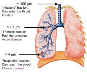 effets of pm 2.5 2